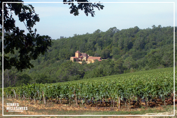 Le domaine Belmont, des cépages atypiques et des vins surprenants de minéralité.