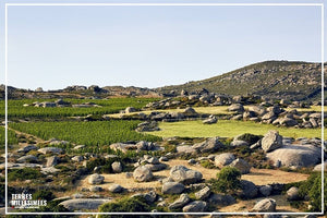 Le domaine T-Oinos, un lieu mythique, des vins exceptionnels.