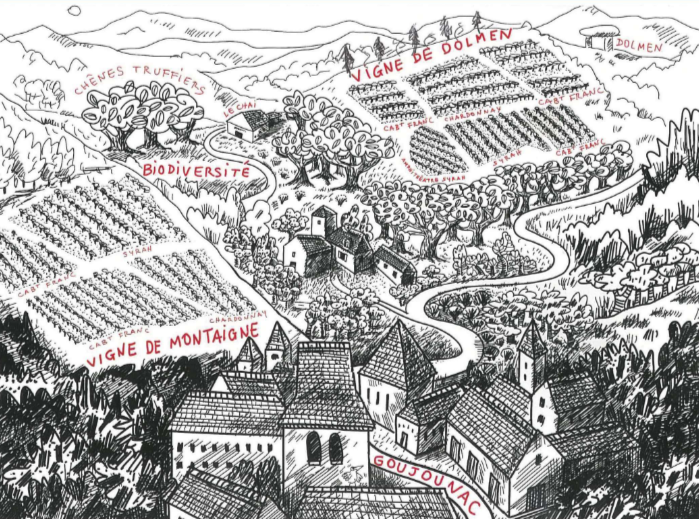 Domaine Belmont "Syrah S", Vin de Pays du Lot, rouge