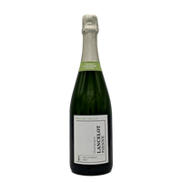 Domaine Lancelot-Pienne "Instant Présent" Blanc de Blanc, Champagne