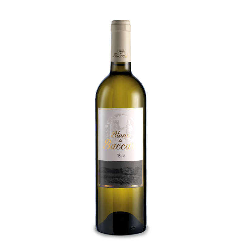 Domaine de Baccari "Blanc de Baccari", Maroc, blanc